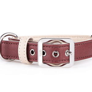 My Family - Collar S Leather Purple & Cream (W X L-27x31) White Bronze