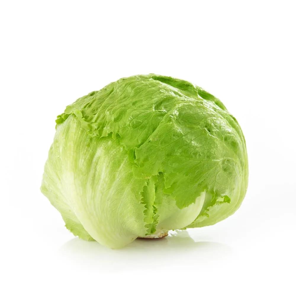 Lettuce Iceberg Jordan Bunch