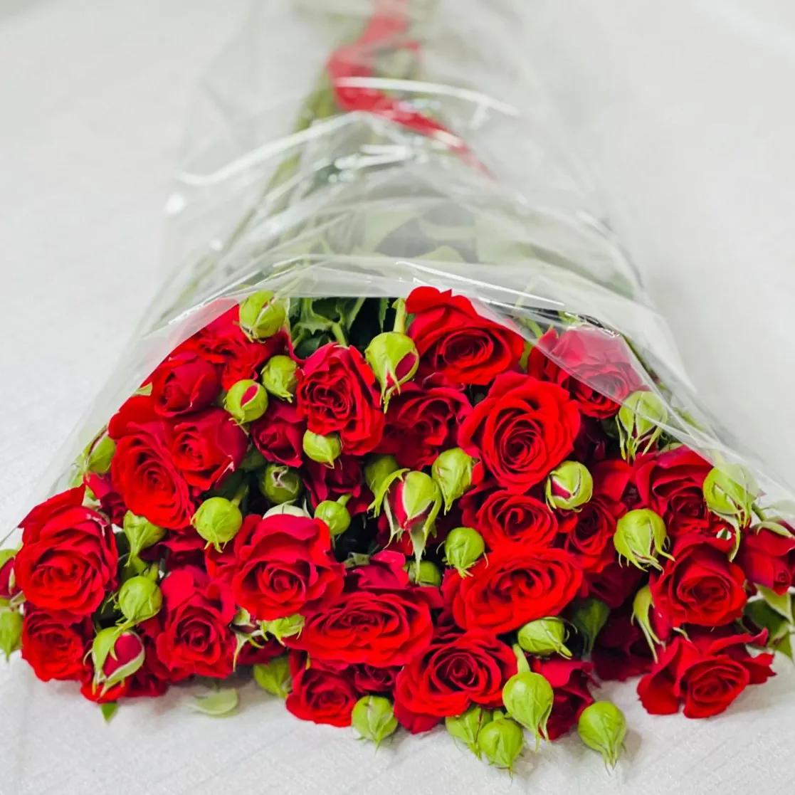 Red Baby Rose 10 Piece