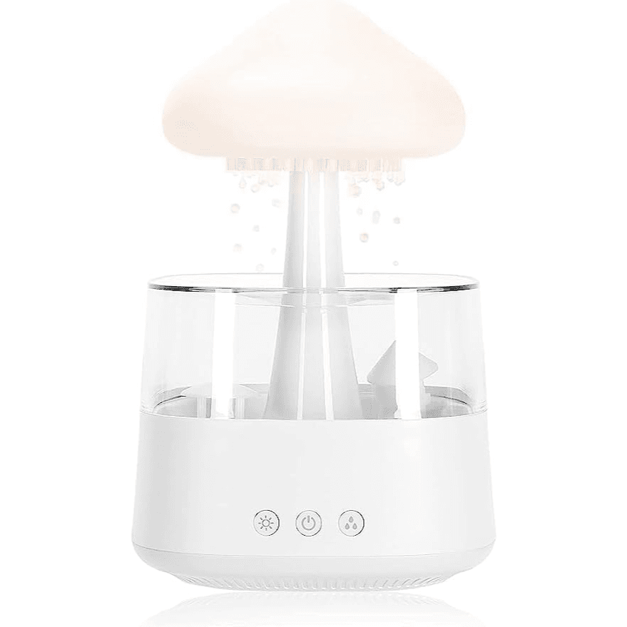 Rain Cloud Humidifier