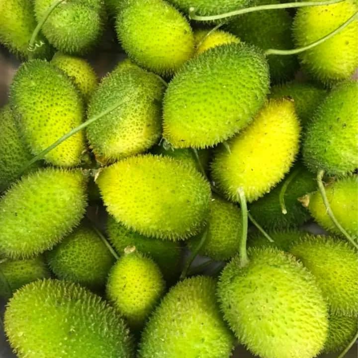 Spiny Gourd 1 Kg