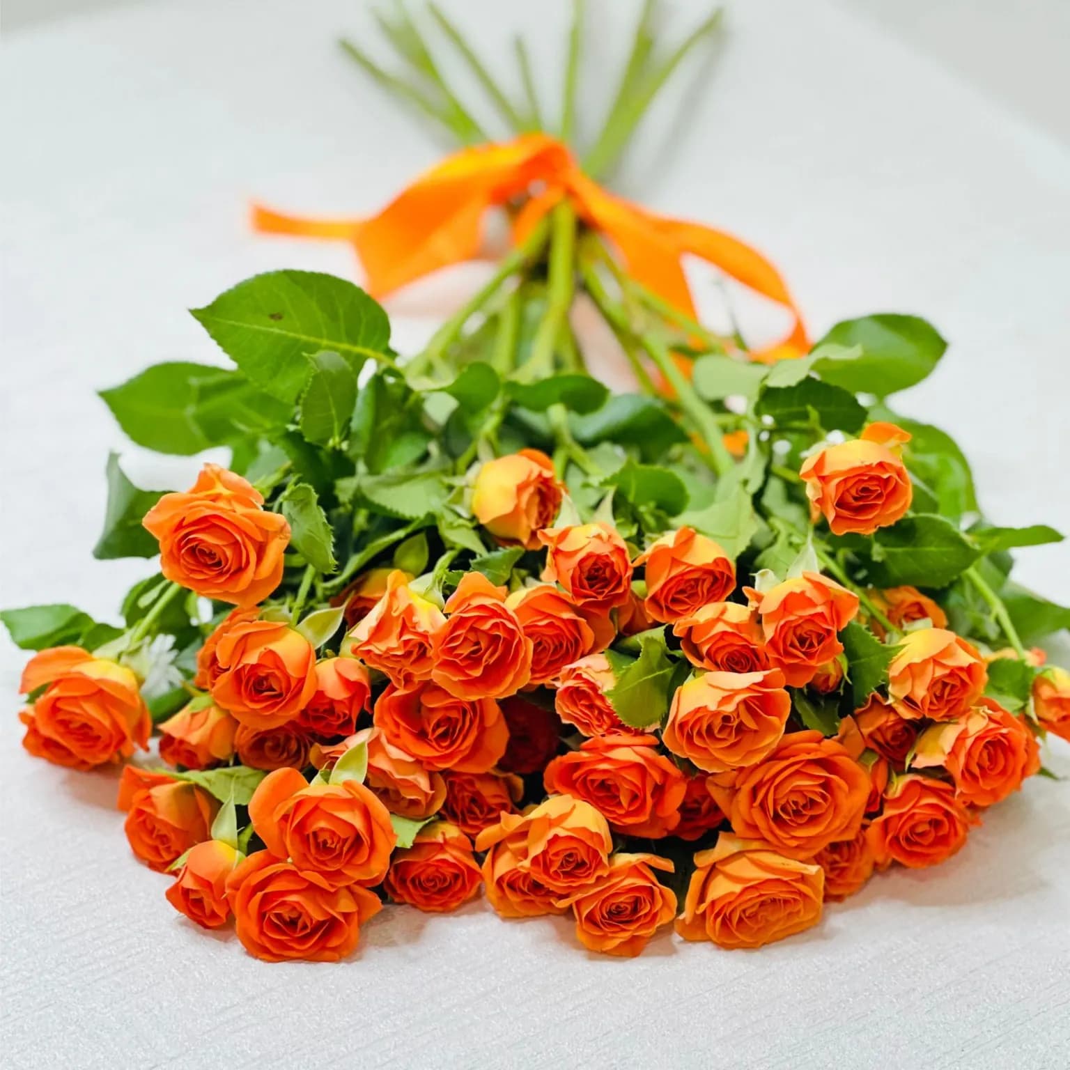 Orange Baby Rose 10 Piece