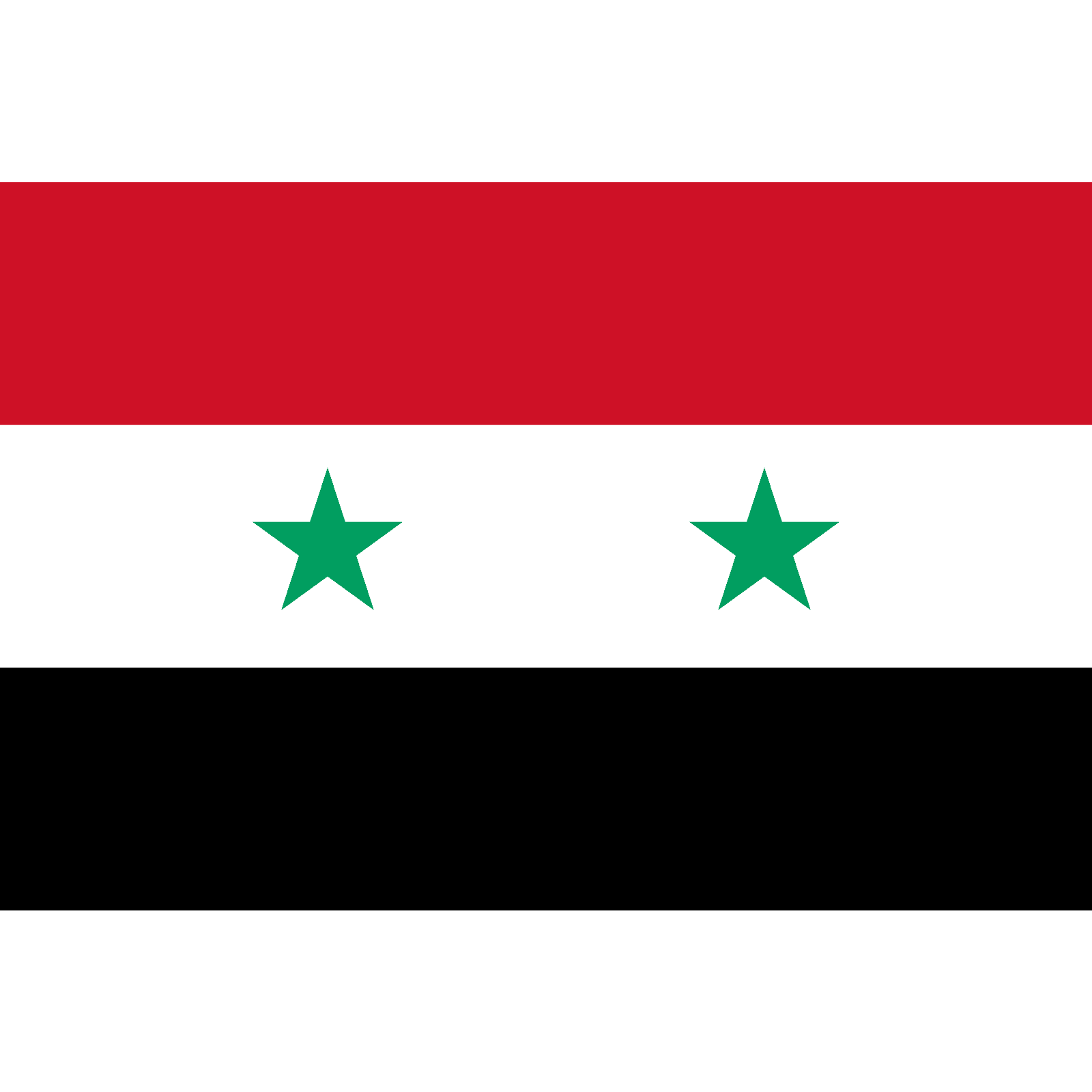 Syria Flag 30 x 45cm