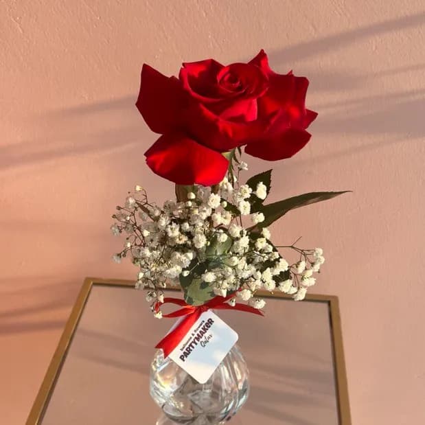 Single Red Rose In A Vase