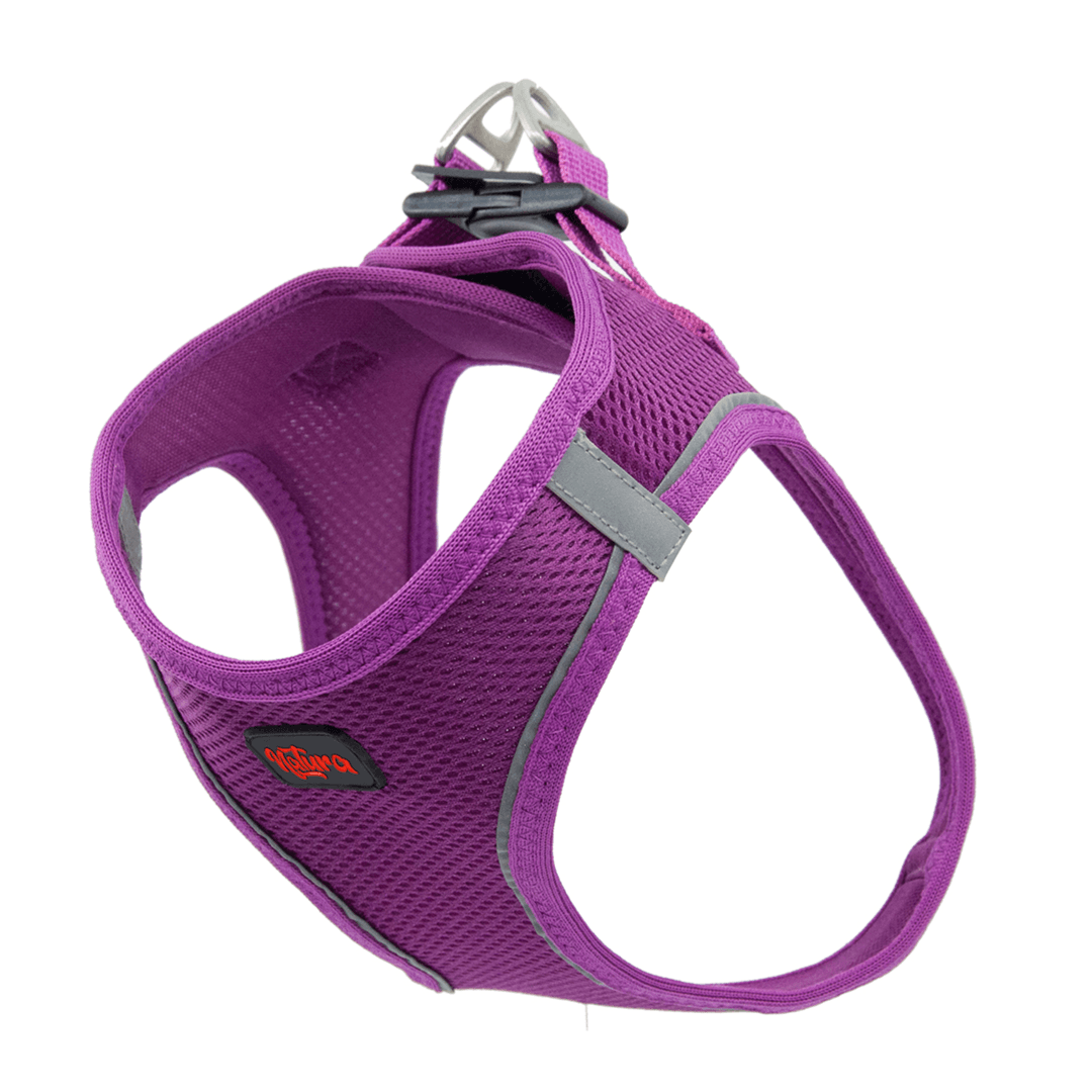 Airnet Harness S