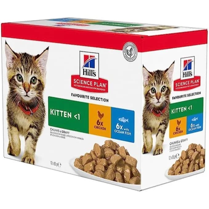 Hills Plan Kitten  Wet Food  With  Ocean 85g X 12 Pieces Box