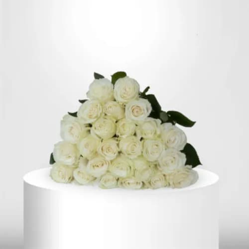 100 White Roses - 60018