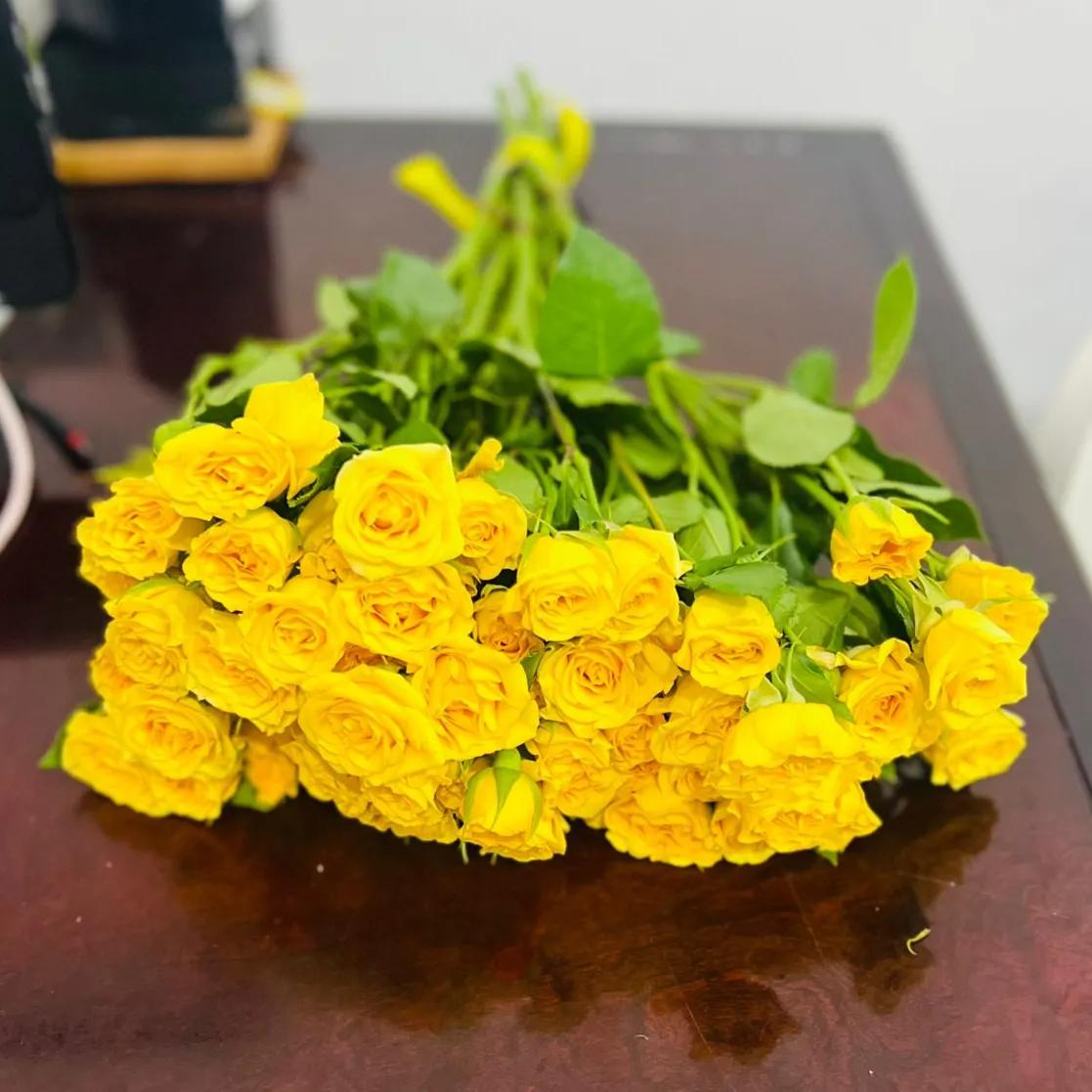 Yellow Baby Rose 10 Pieces Wholesale