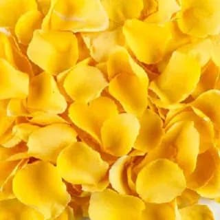 Yellow Rose Petals Fresh