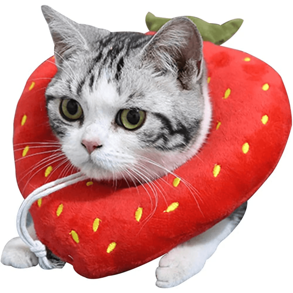 Pets Neck Ring Protection Collar Strawberry