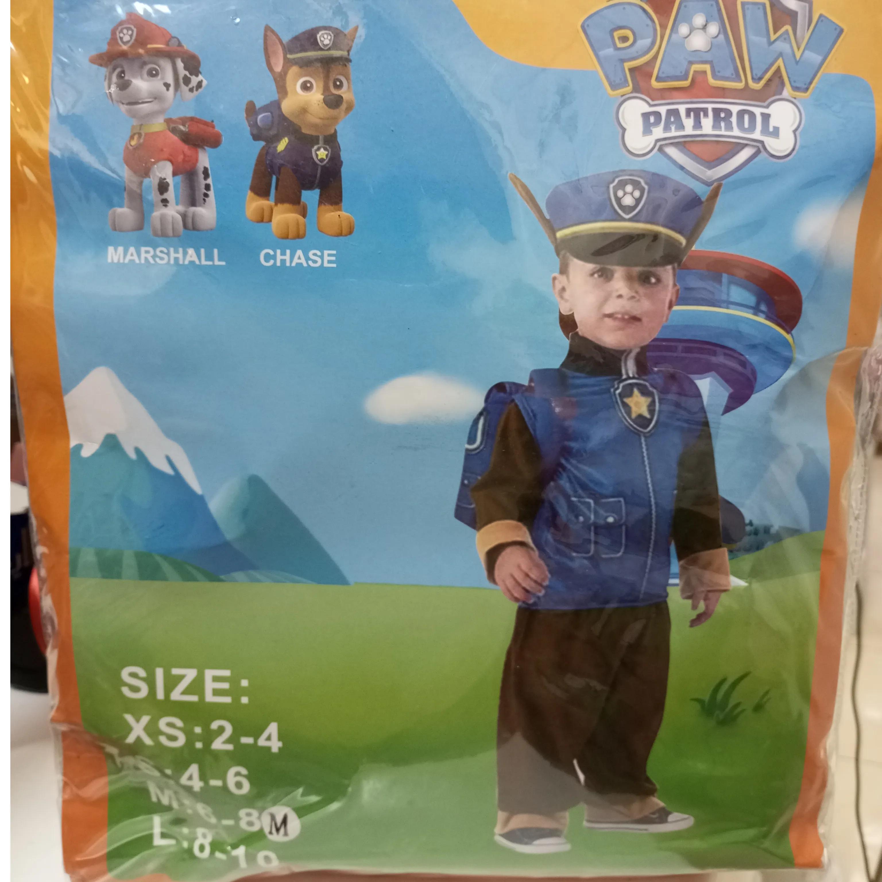 Paw Patrol Boy