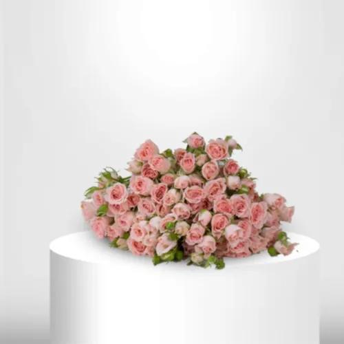 30 Light Pink Spray Roses - 60034