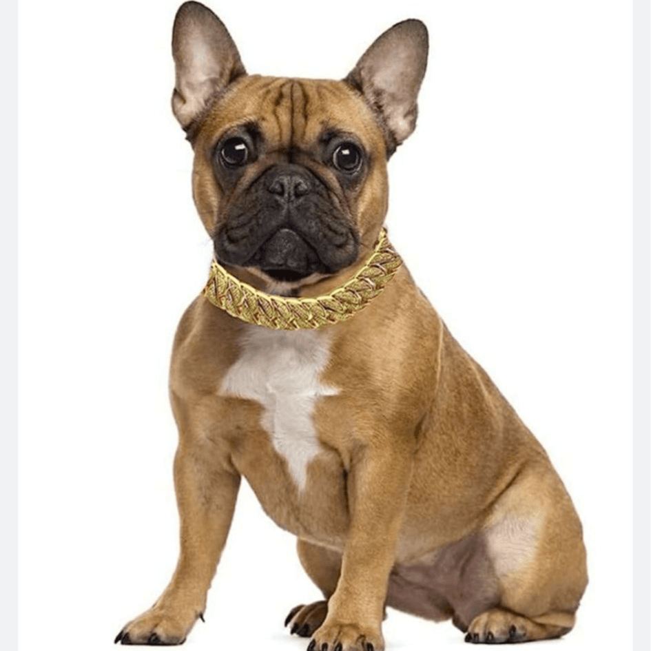 Gold Plate Chain Necklace For Dog