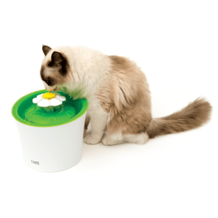 Catit Senses 2.0 Flower Fountain