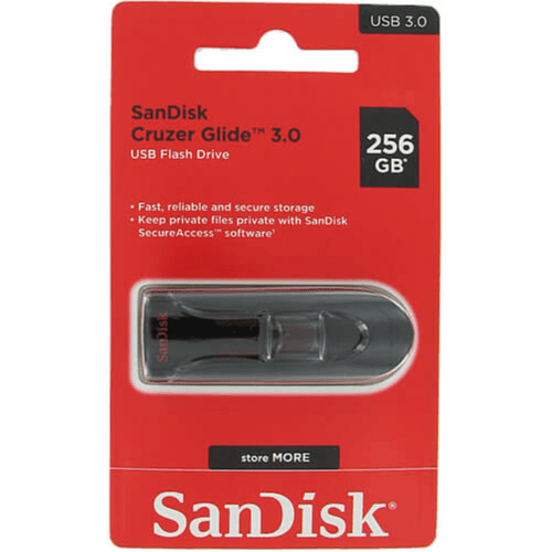 Sandisk 256 GB Flash Drive