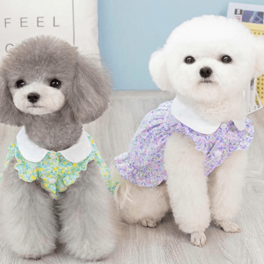 Pet Flower Design Long Clothes