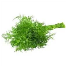 Dill Leave 1 Bunch