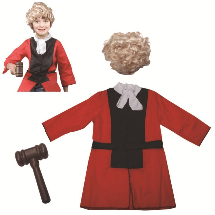 Judge Costume