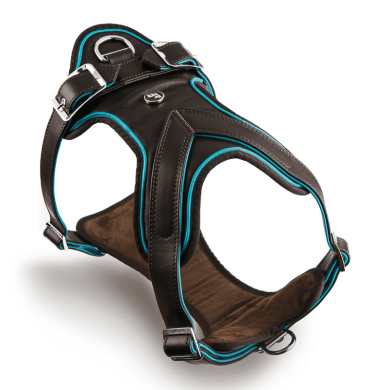 Harness L H Hermitage Leather Turquoise Brown Wxl-67x92 White Bronze