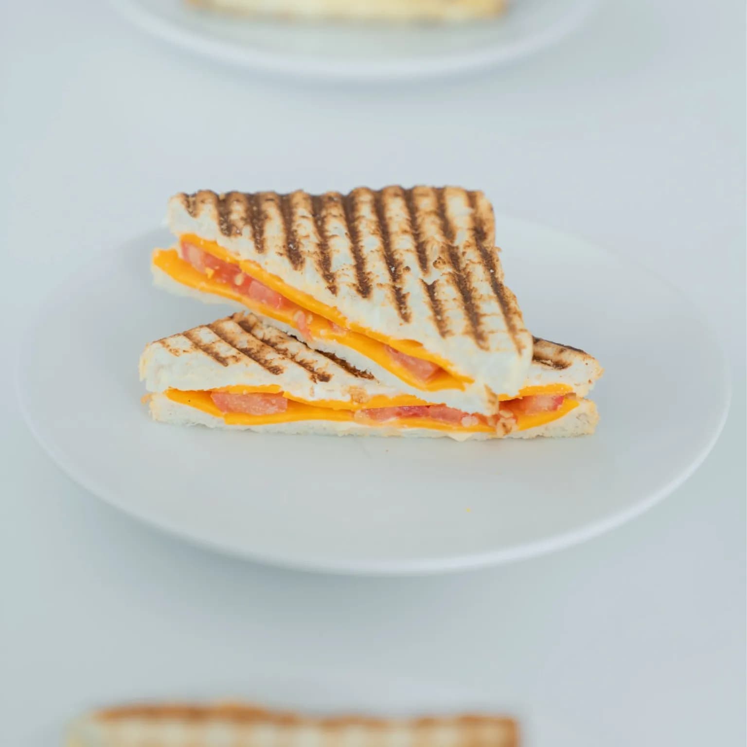 Cheese Sandwich