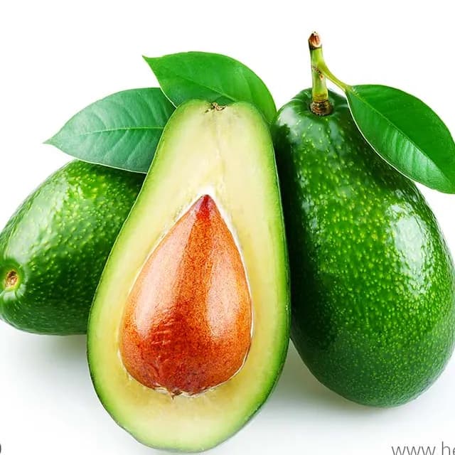 Avocado