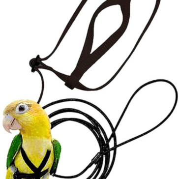 Parrot Harness