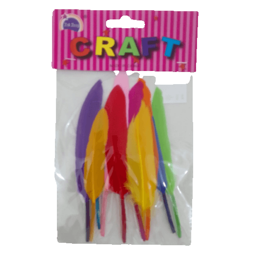 Craft Feather