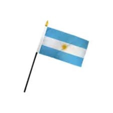 Argentina Flag 20x15cm