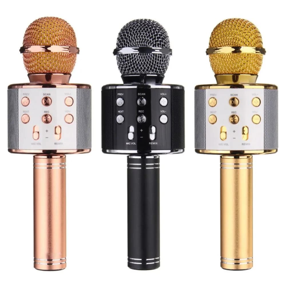 Karoake Mic 1 Piece