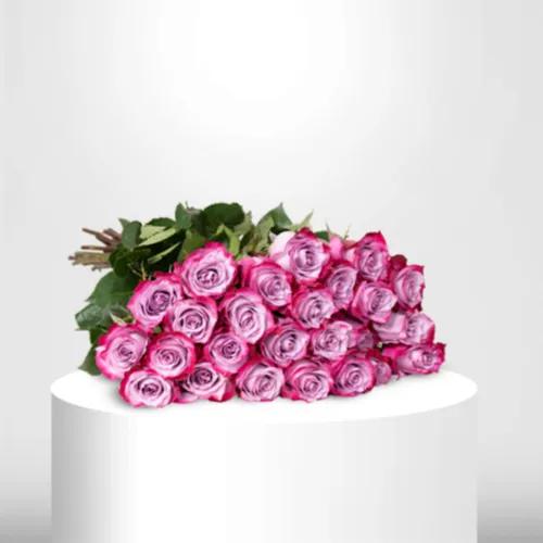 25 Purple Roses - 60019