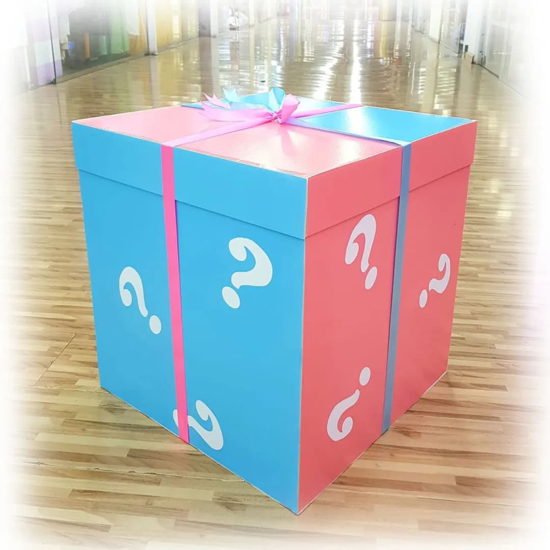 Surprise Box For Gender Reveal