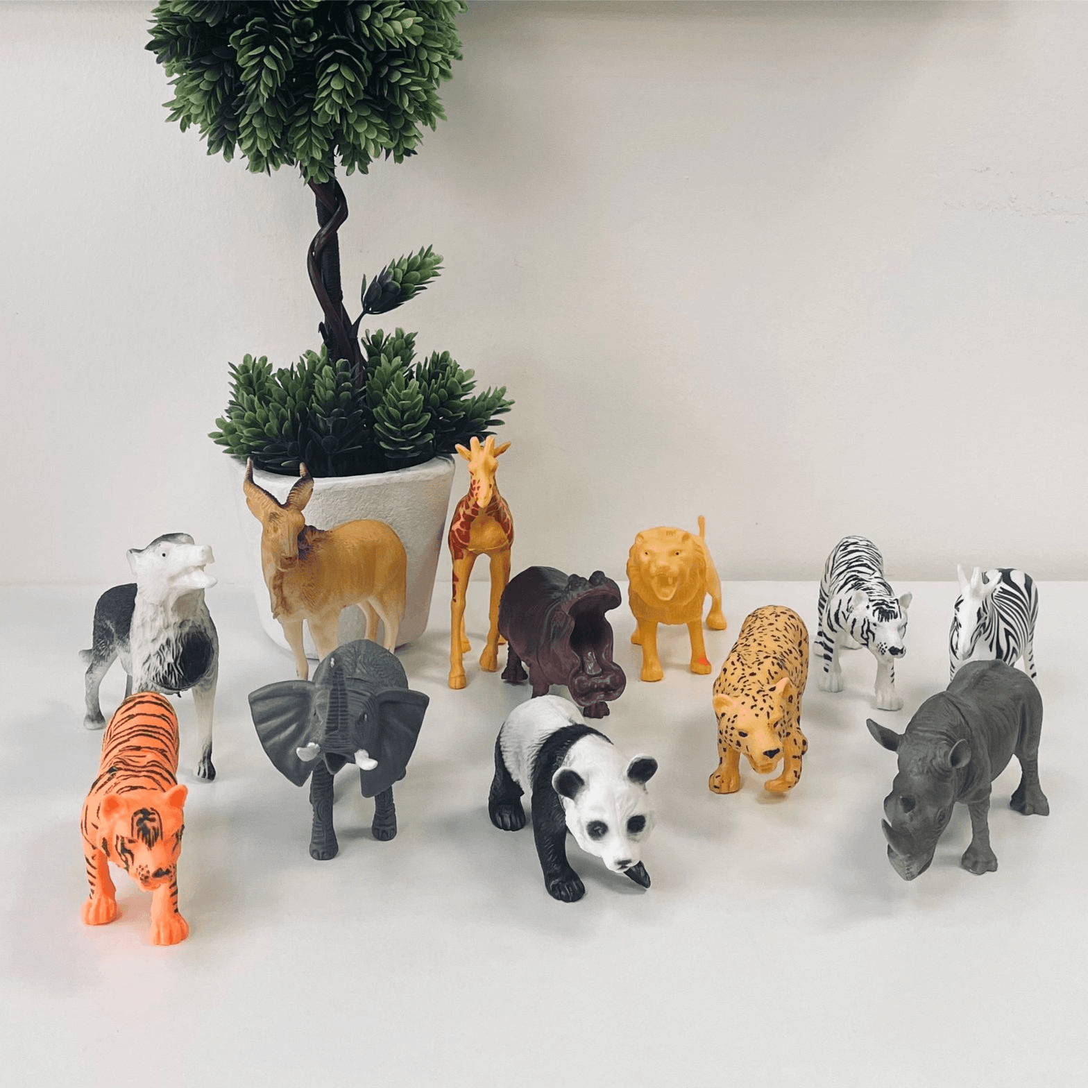 Wild Animals Model