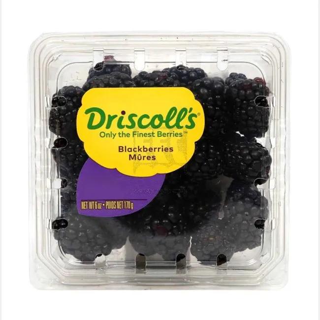 Blackberries (Usa) 170g