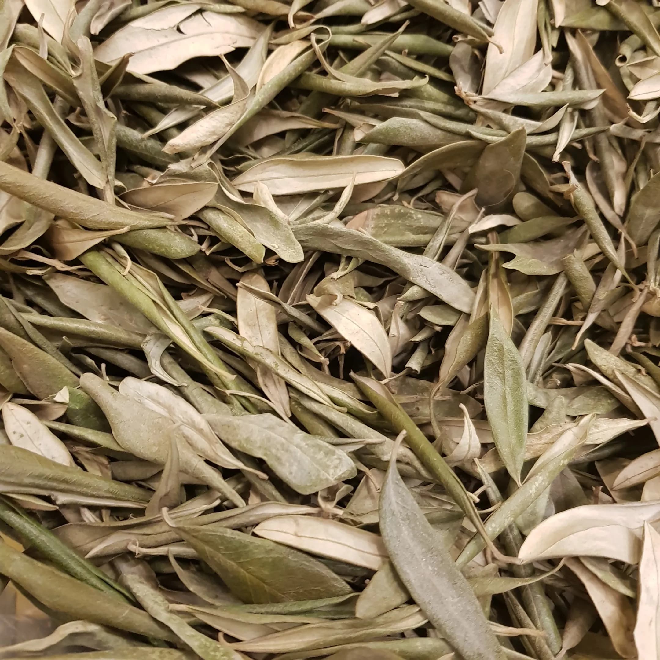 Dried Olive Leaves 100gm