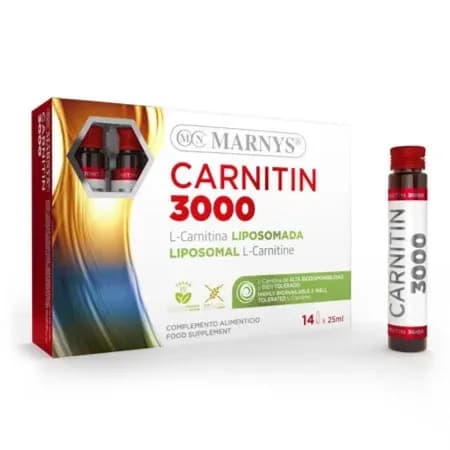 Carnitin 3000 14Vials X25 Ml