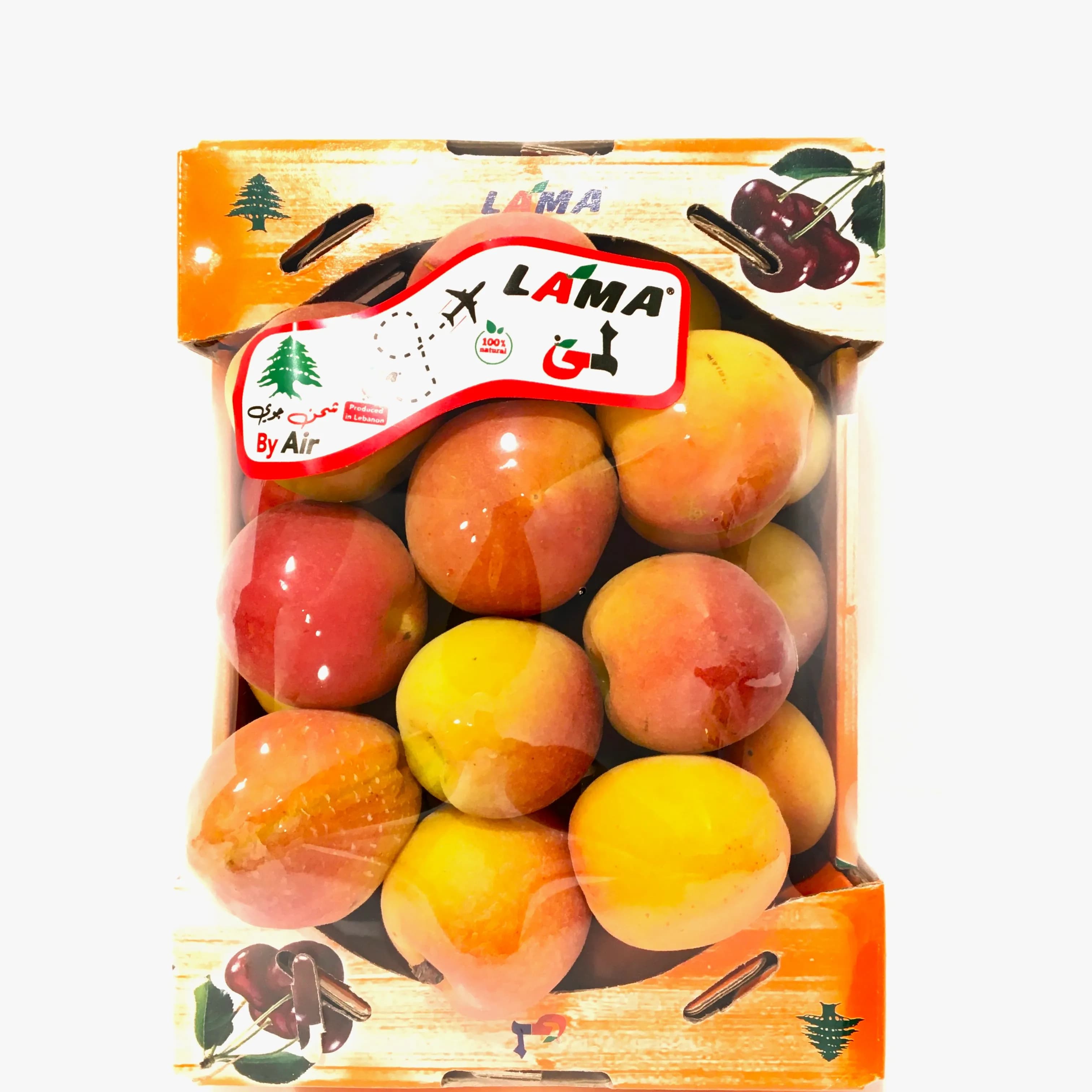 Golden Apricot Lebanon Pack