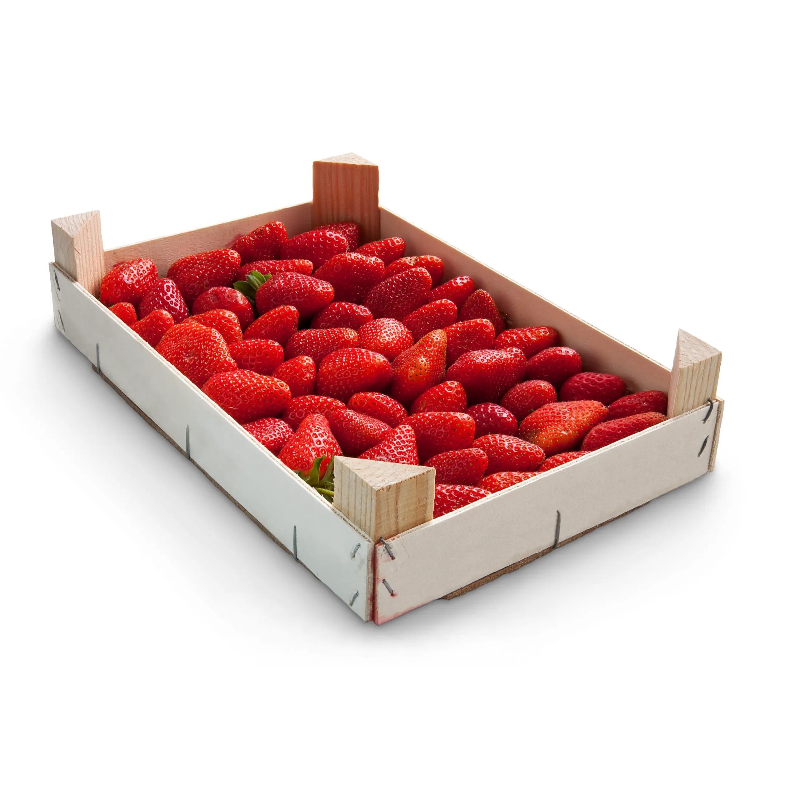 Strawberry 1Kg Tray