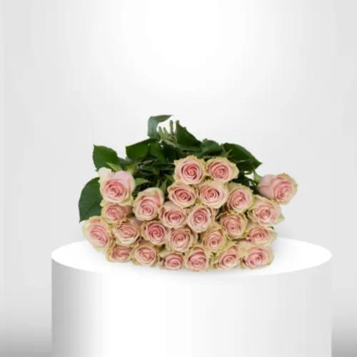 25 Light Pink Roses - 60013