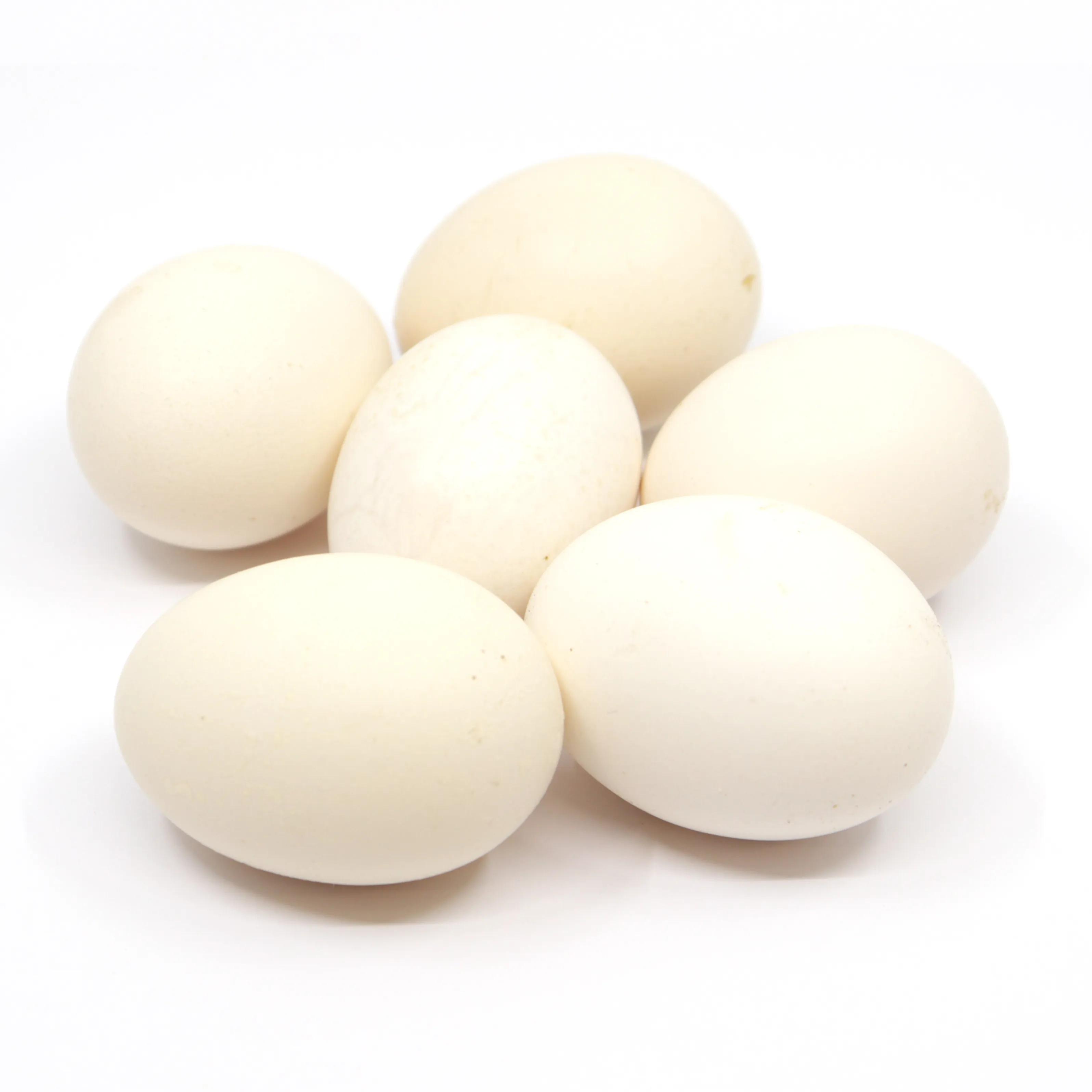 Free-Range Chicken Eggs 10 Pieces