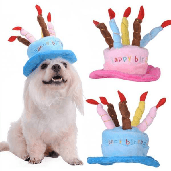 Pet Birthday Hat