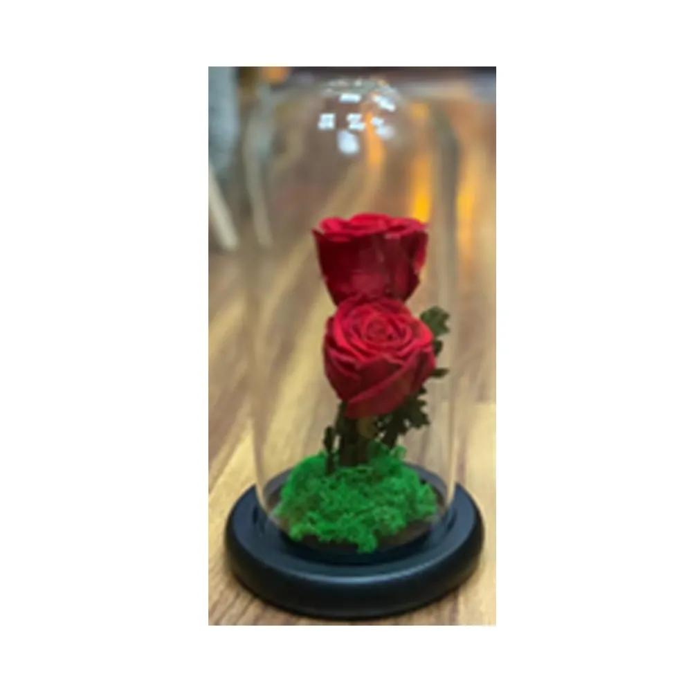 2 Preserved Red Roses In A Dome Glass Vase