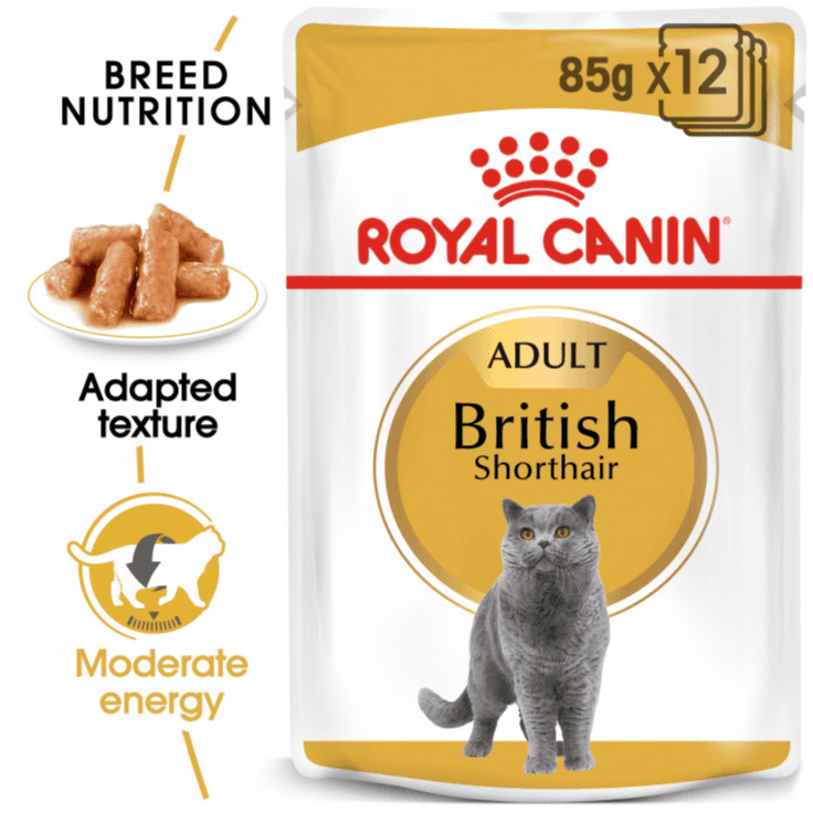 Royal Canin British Shorthair (Wet Food - 12 Pouches)