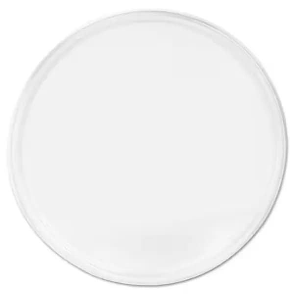 Food Pack Bio Eco Plastic Plate Plain 12 Inch 10 Pieces