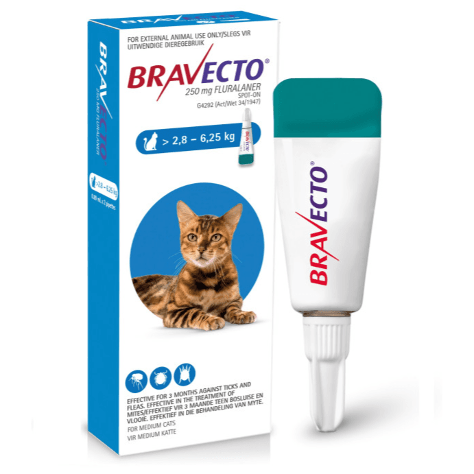 Bravecto Spot On for Medium Cat 2.8-6.25 kg