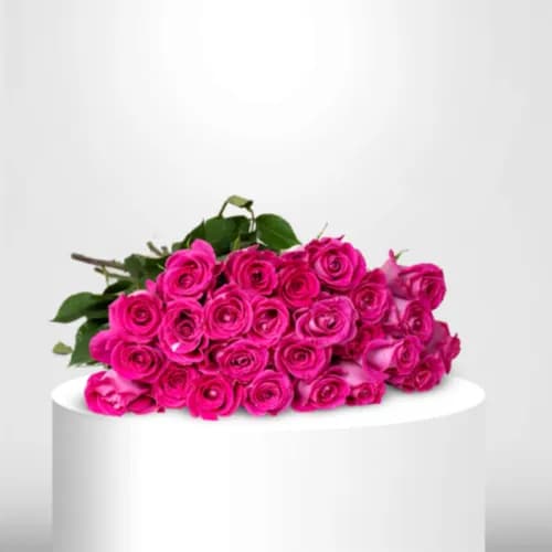 100 Fushia Roses - 60012