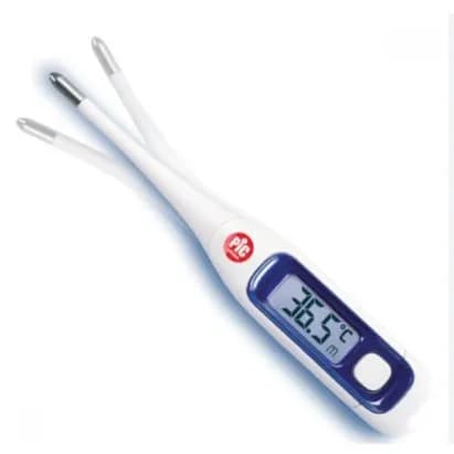 Pic Digital Thermometer