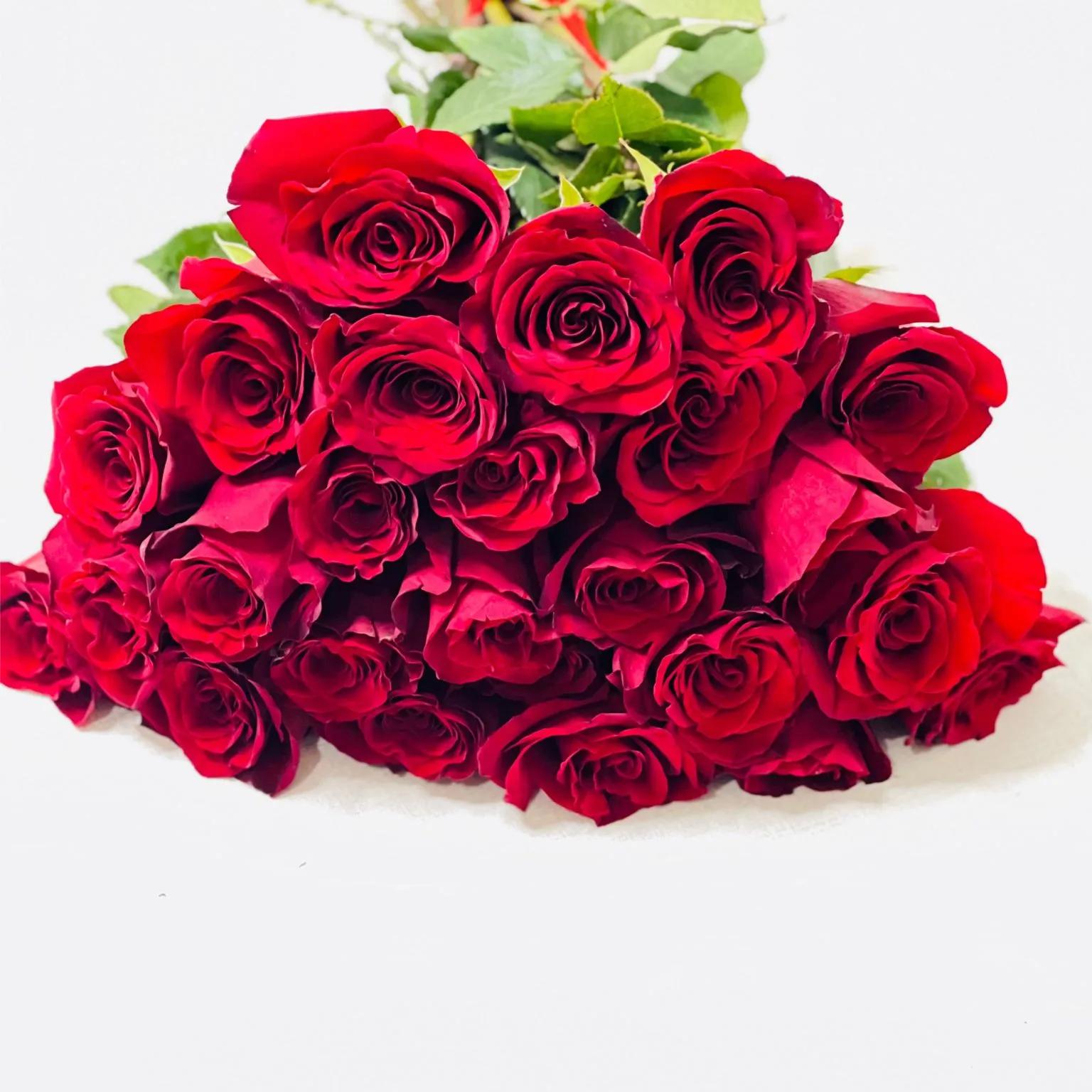 25 Piece Red Rose Wholesale