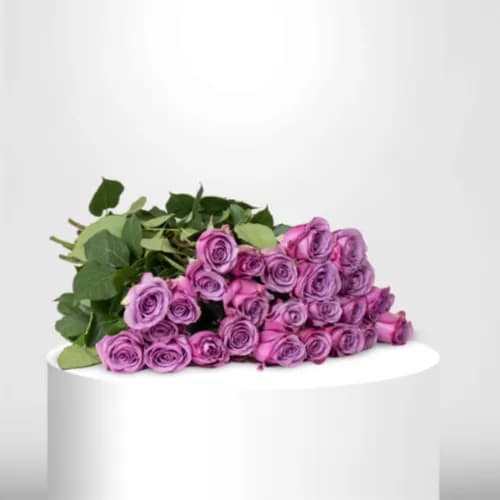 100 Light Purple Roses - 60024