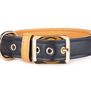 My Family - Collar 4xl Leather Black & Ochre (W X L-59x69) Golden Plated 24 K