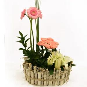 Best Flower Arrangement 9